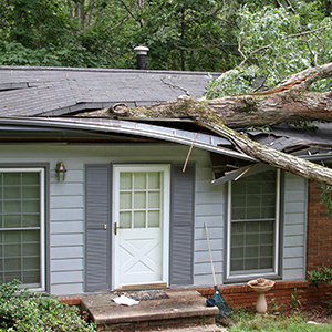 Storm Damage Thumbnail