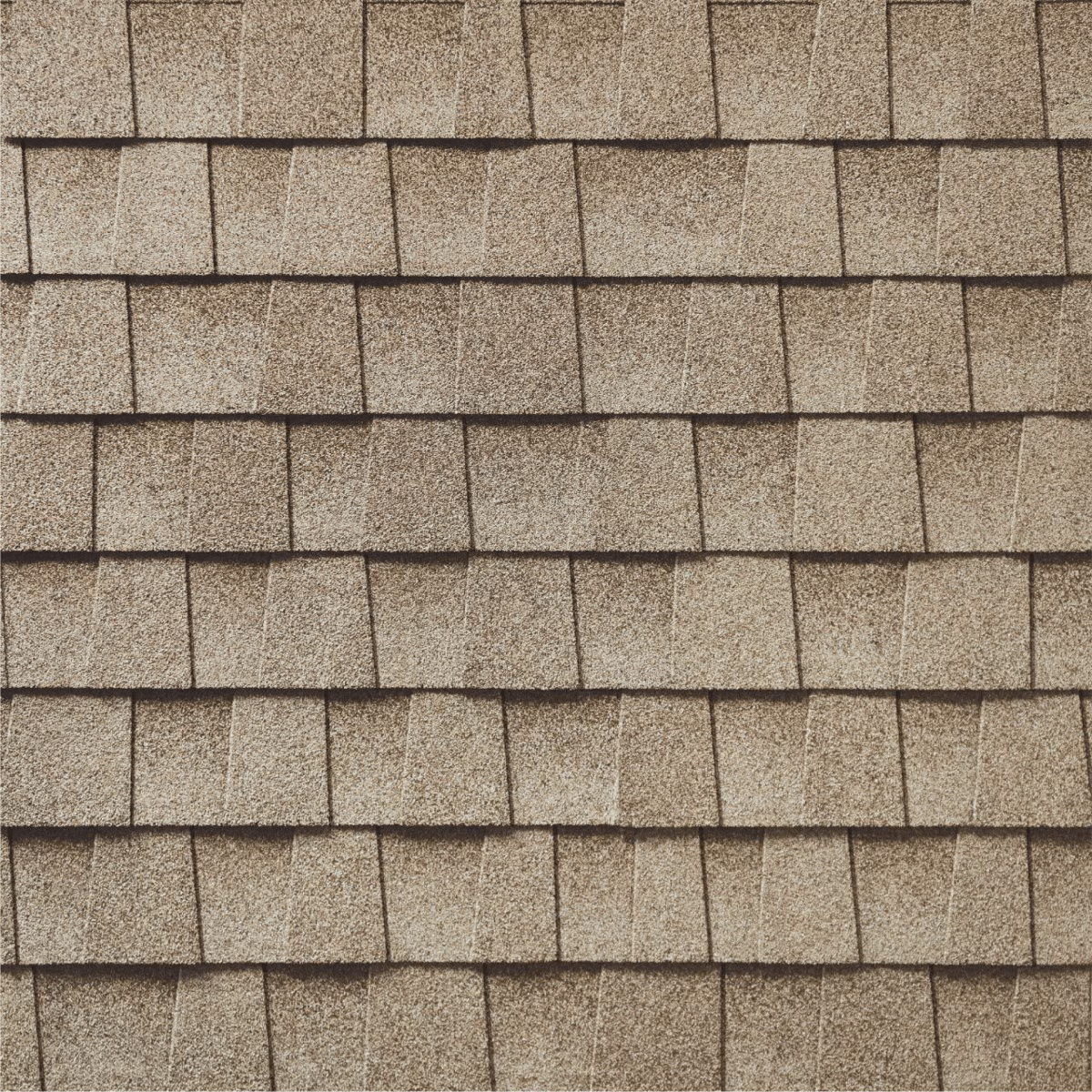 Buddy's Roofing Images