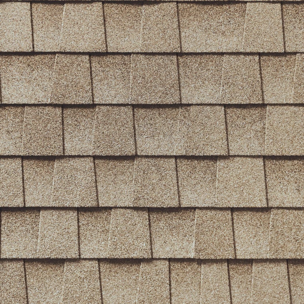 Buddy's Roofing Images